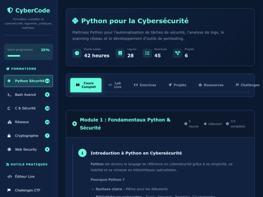 deepseek screenshot