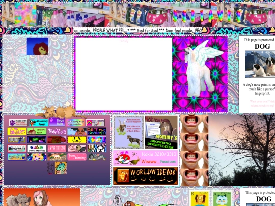 home screenshot