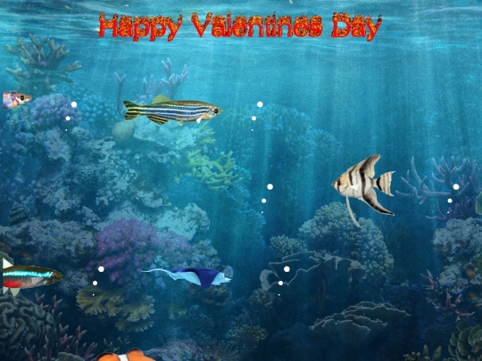 fish screenshot