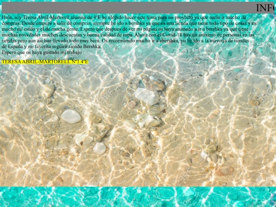 PROYECTO FINAL/pagina0013 screenshot