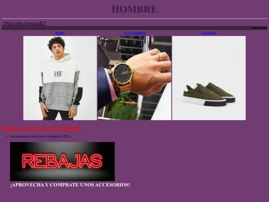 PROYECTO FINAL/pagina009 screenshot