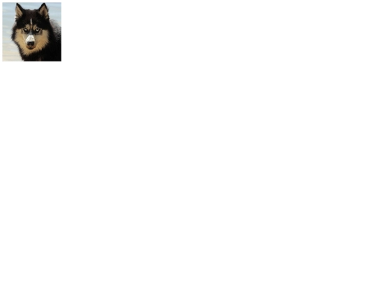 imagen/fotos screenshot
