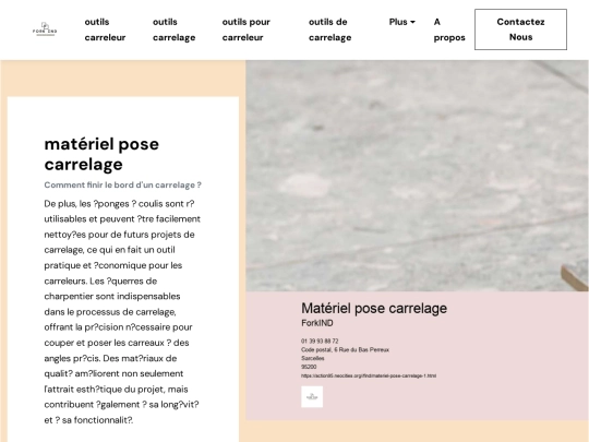 find/materiel-pose-carrelage-1 screenshot