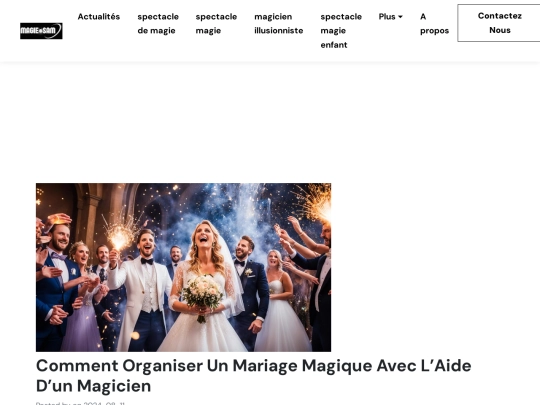 find/sam/news/comment-organiser-un-mariage-magique-avec-laide-dun-magicien screenshot