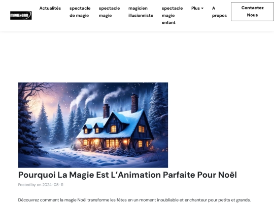 find/sam/news/pourquoi-la-magie-est-lanimation-parfaite-pour-noël screenshot