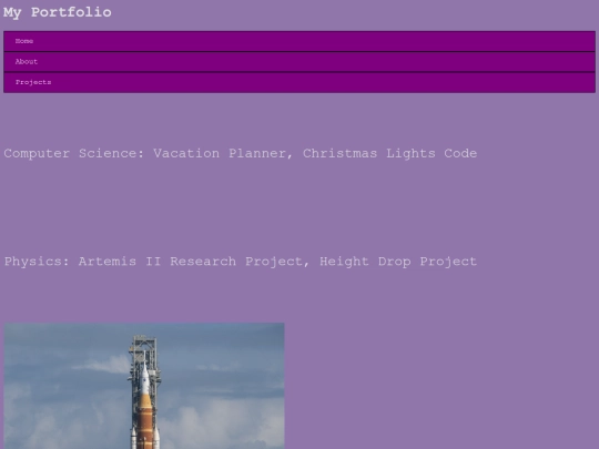 projects screenshot