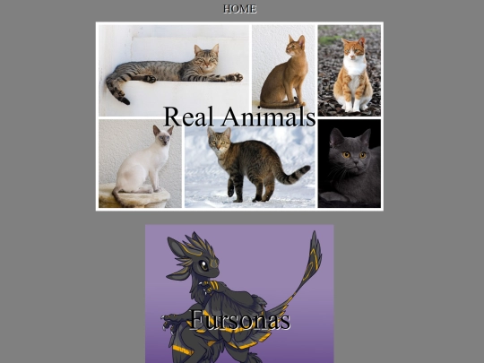 animals screenshot