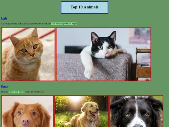 school_pages/Top_Ten_Animals screenshot