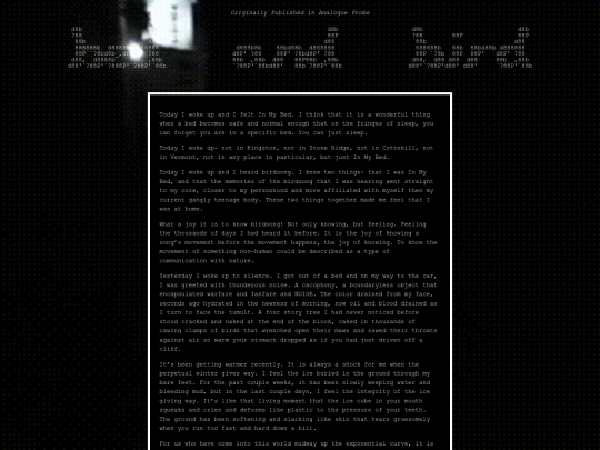 bed_and_bird screenshot