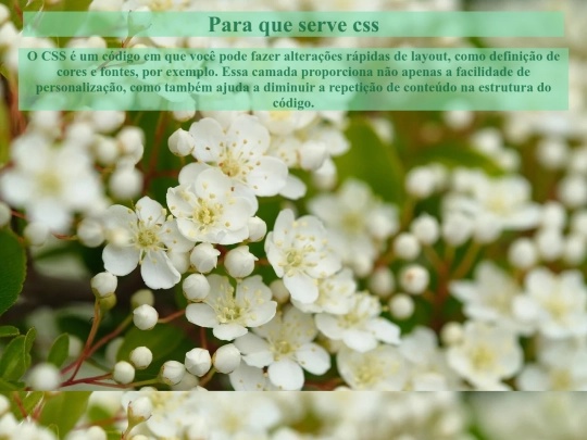 2trimestre/atividade12 screenshot