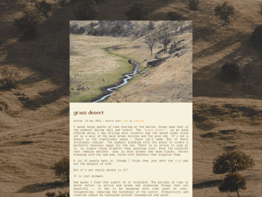 spacelogs/2024_03_28_grass_desert screenshot