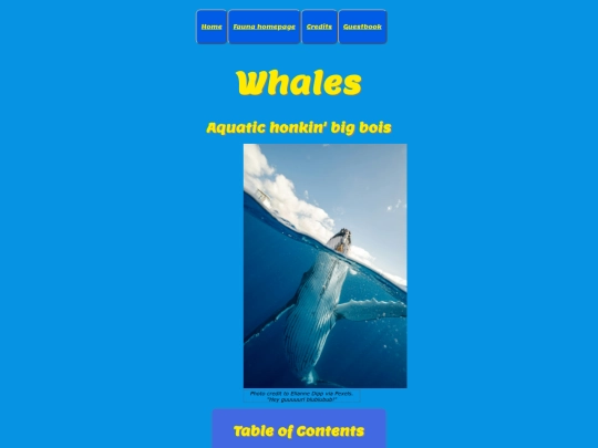 fauna/stillalive/whales screenshot
