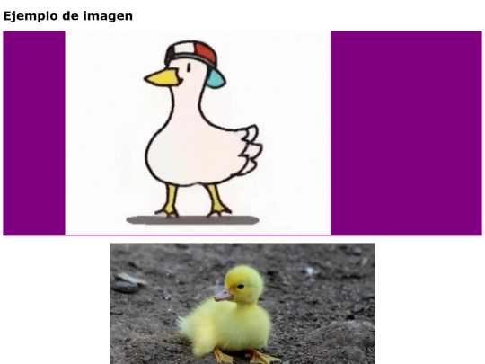 ejemplos/imagenes screenshot