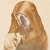 sullenarchive.neocities.org avatar