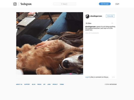 instagram/02 screenshot