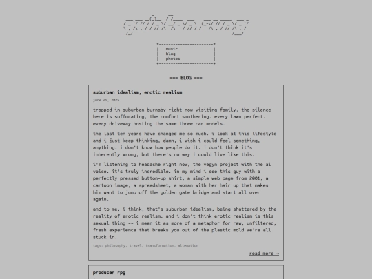 blog screenshot