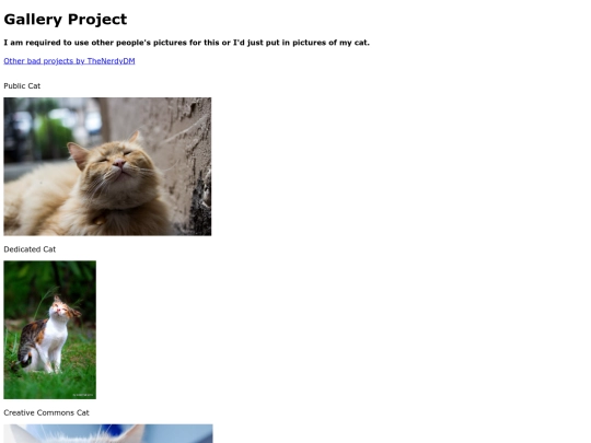 Schoolwork/GalleryProject/Code/schoolgallery screenshot