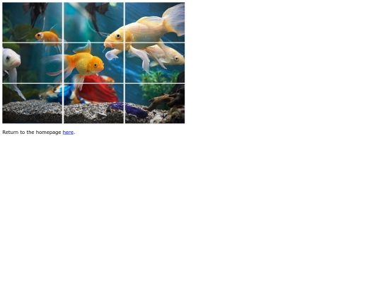 Schoolwork/puzzle/puzzle screenshot