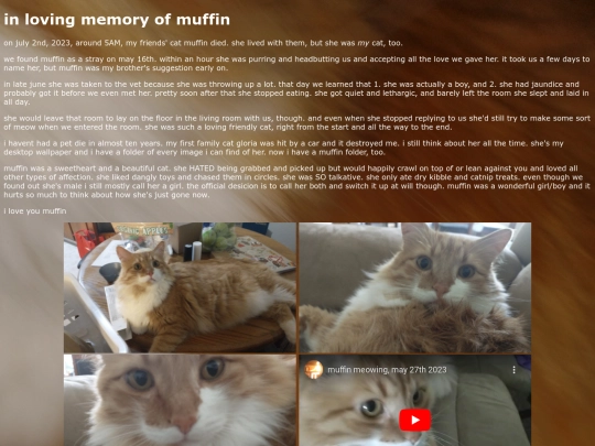 muffin screenshot