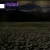 vineland avatar