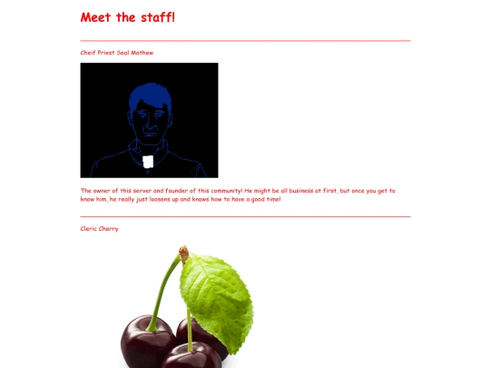 ourstaff screenshot