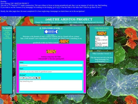 oldhomepage screenshot