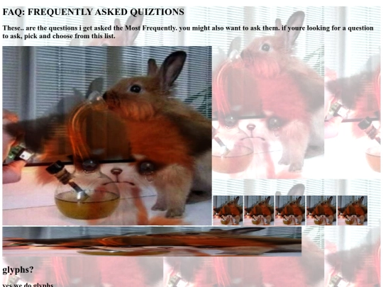 faq screenshot