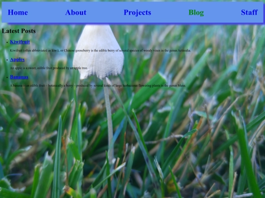 blog screenshot