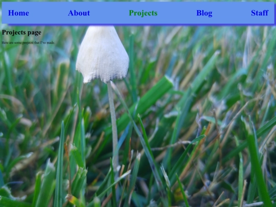 projects screenshot