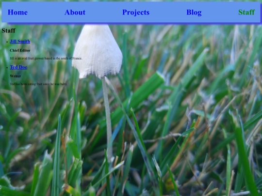 staff screenshot