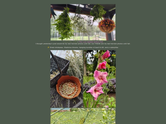 haghut/garden/Spring26 screenshot