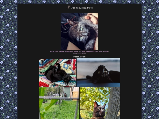 haghut/tower/pets screenshot