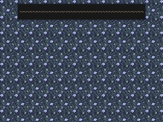 templates/innerframe screenshot