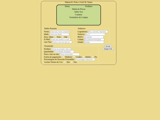 formulario screenshot