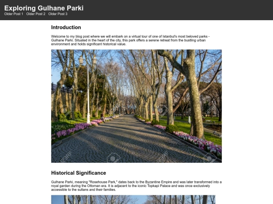 Responsive Blog Post screenshot