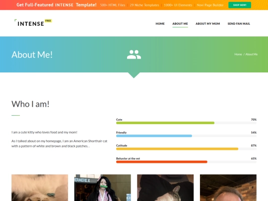 about-us screenshot