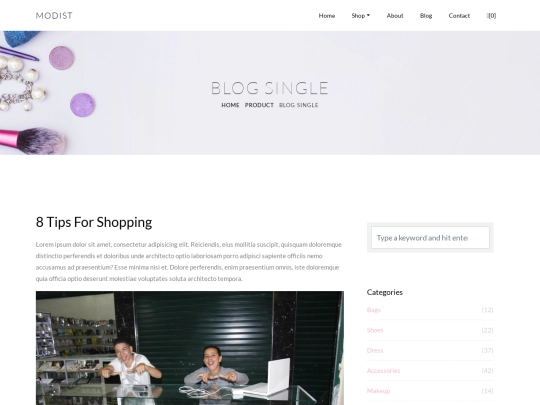 blog-single screenshot