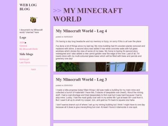 personal/log-minecraft screenshot