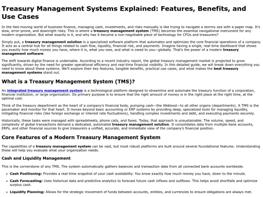 treasury-management-systems-explained screenshot