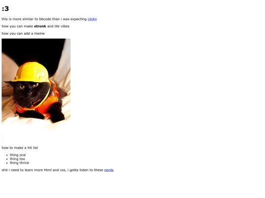 tymecapsule/kittensfirstwebpage screenshot