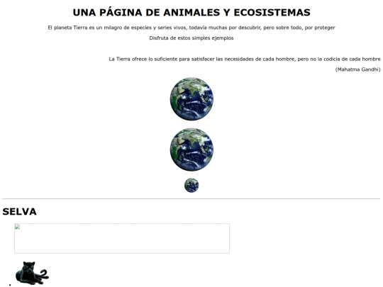 ejercicio05 screenshot