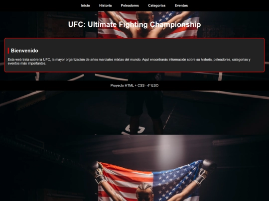 proyecto ufc screenshot