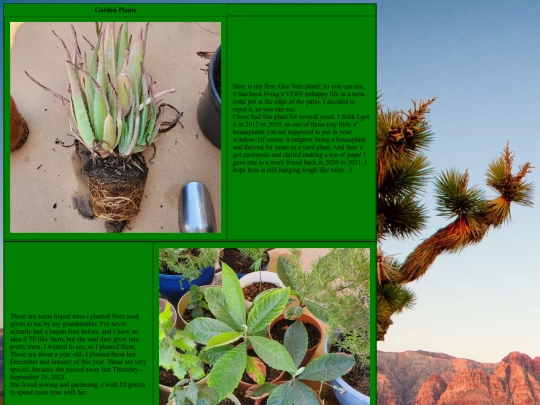 Garden/GardenPage262 screenshot