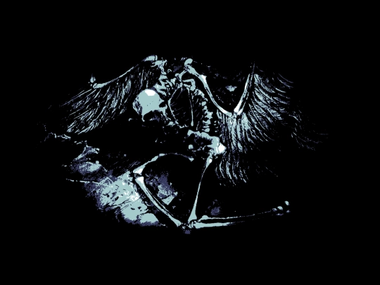 egpcu/bones screenshot