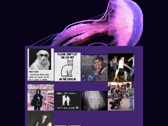 pinboard screenshot