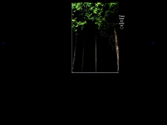 Gyra screenshot