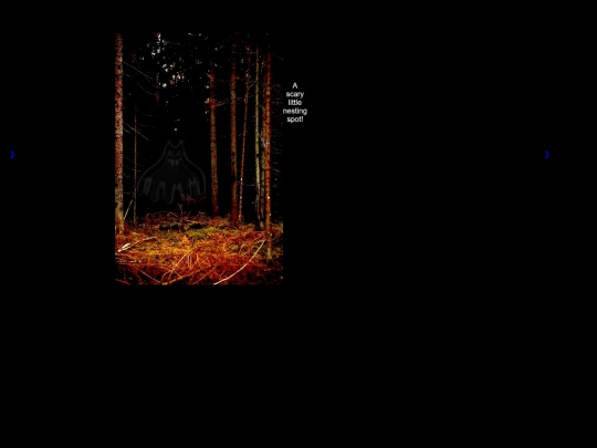 aryG screenshot