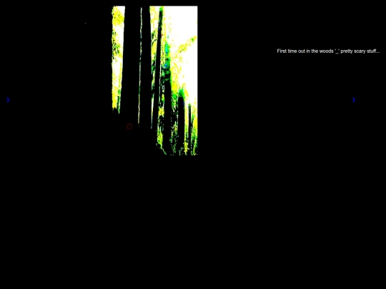 gyra screenshot