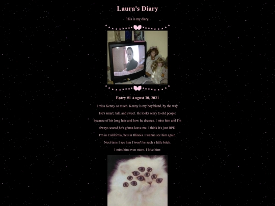 diary screenshot