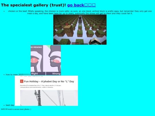 gallery screenshot
